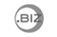 ������ .biz