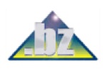 .BZ domain logo