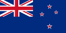 .NZ domain logo