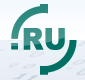 .NET.RU domain logo